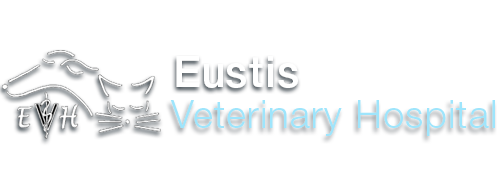 Eustis Veterinary Hospital
